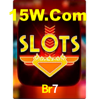 Br7 - App Security